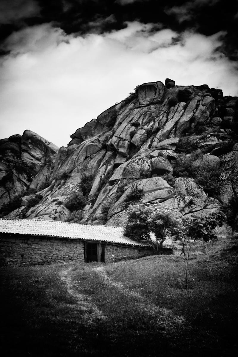 Pato by BobRock99 on DeviantArt