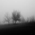 fog 2 by BobRock99