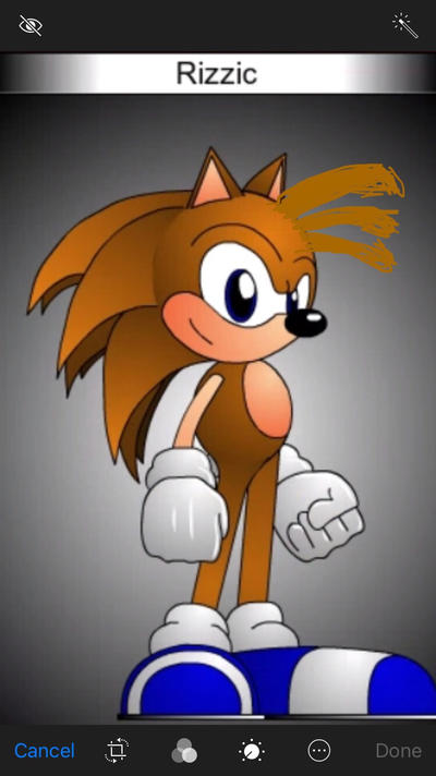 Rizzic the hedgehog by fizzyrizzDA on DeviantArt