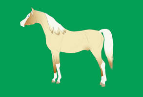 Horse Request 4