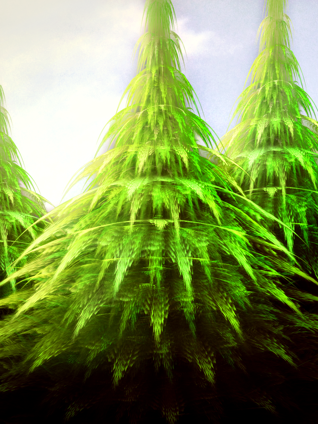 Fractal Trees