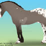 Welsh Cob Grullo Appaloosa noshading