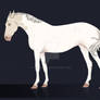 Horse Adopt/Design: Cremello Moroccan