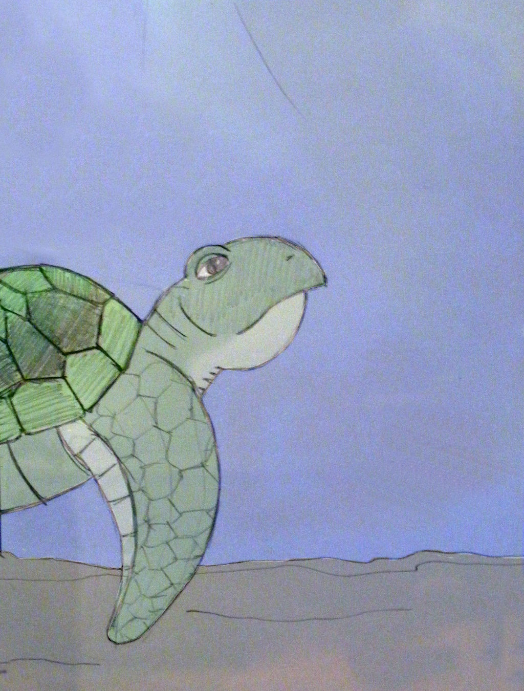 Sketchy Turtle