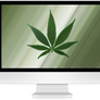 Cannabis-Monitor