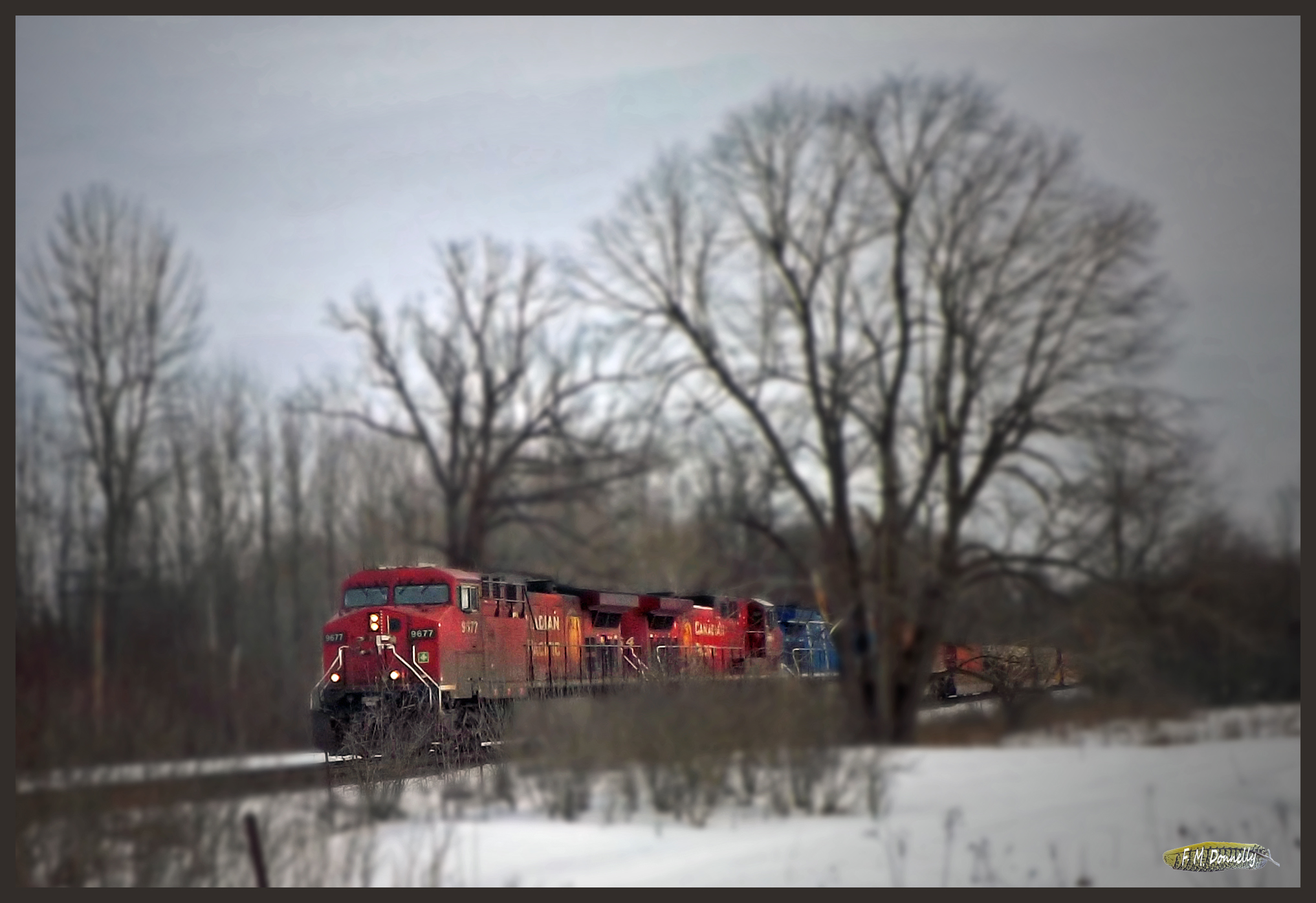 Freight Train in Rural Ontario