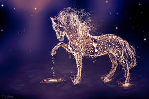 The Water Horse (1)