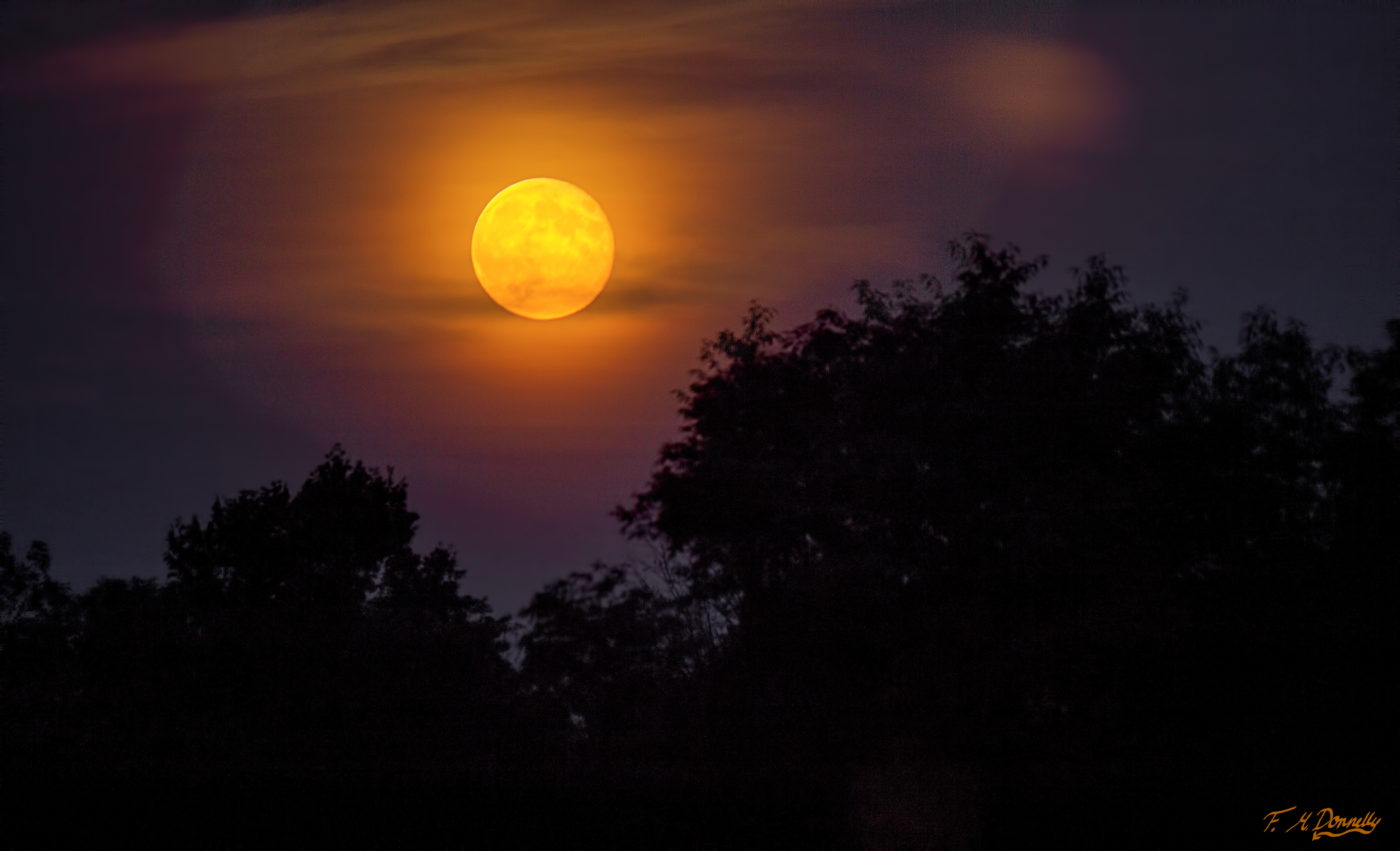 The Colours of Moonrise