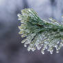 Freezing rain 8