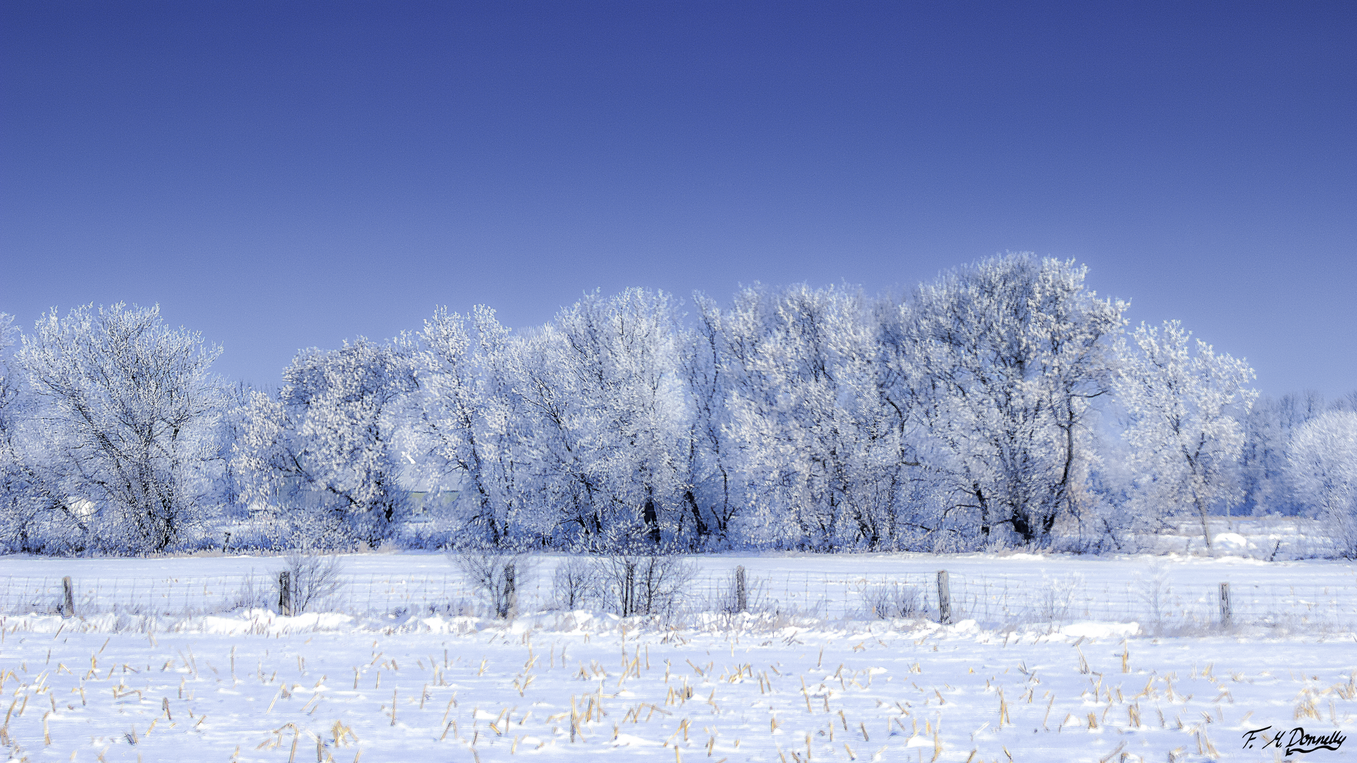 Beautiful Winter Morning