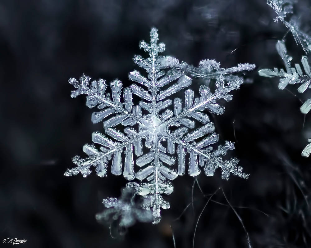 Snow flake 1 by Nini1965 Snow flake 1 by Nini1965