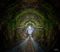 The Tunnel