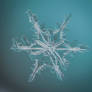 A Solitary Snow Flake (2)