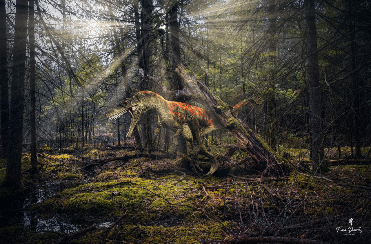 Download A Dinosaur In A Forest By Nini1965 On Deviantart