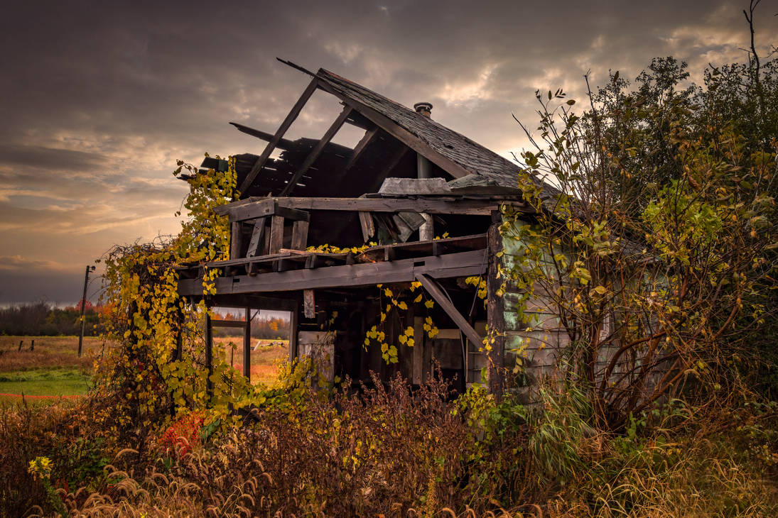 An Old Overgrown and Abandoned Farm Building by Nini1965 on DeviantArt