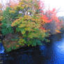 Autumn river 8