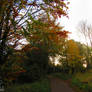 Autumn path 2