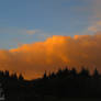 Clouds of gold