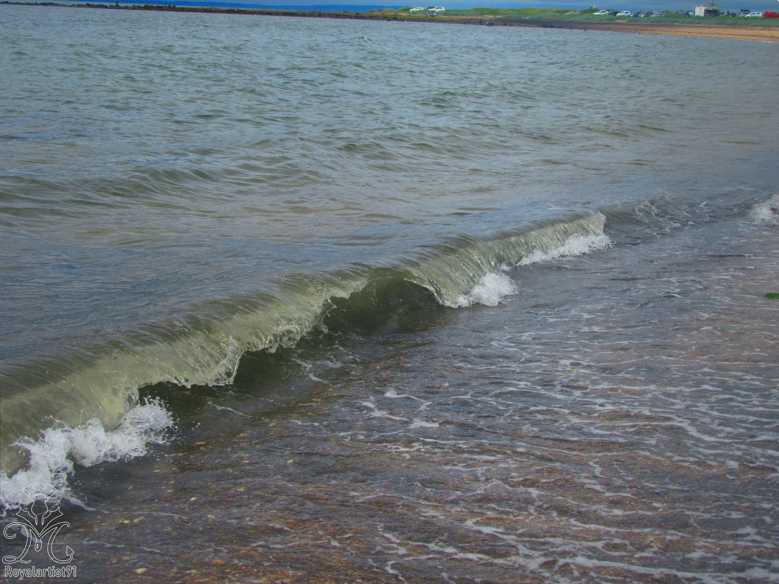 The waves 1