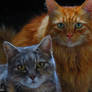Wiggy and Leo