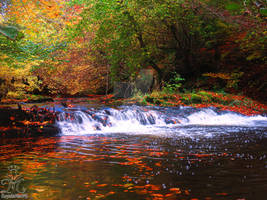 Autumn river