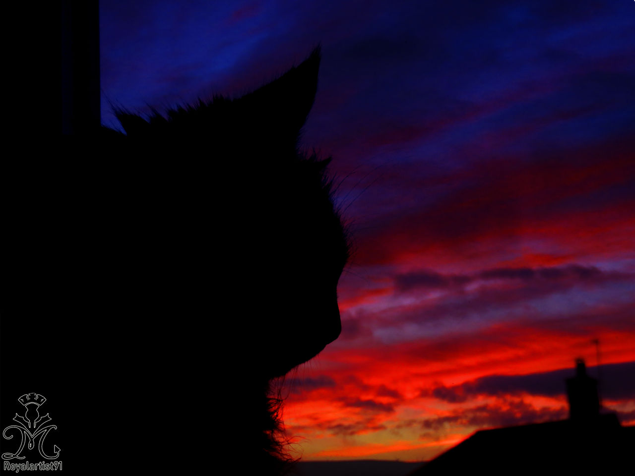 Watching The Sunset Ii By Royalartist91 On Deviantart Watching The Sunset Ii By Royalartist91 On Deviantart