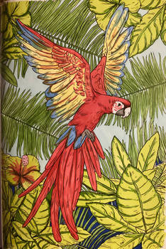 Parrot