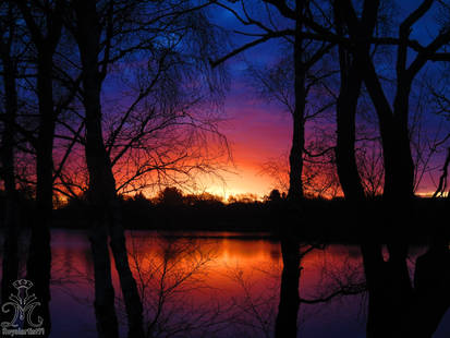 Light on the lagoon V