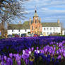 crocus flower clock tower