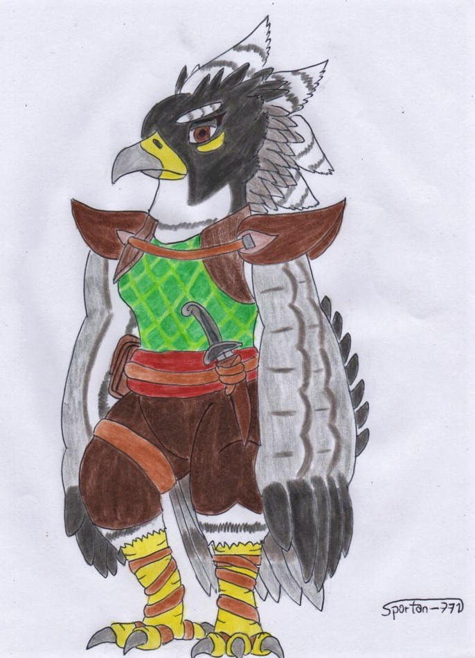 Fal Ranger Falcon ranger by Spartan-771 on DeviantArt