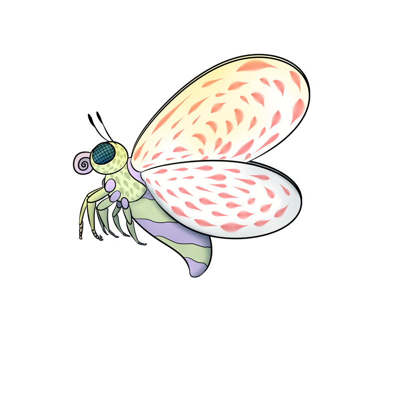 Insectember Day Fifteen: Wings by SkunkySpindaUltra on DeviantArt
