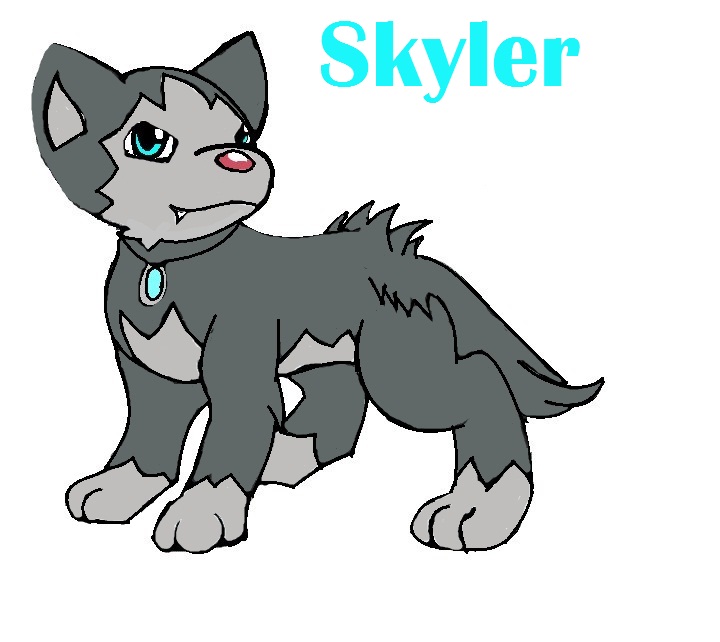 SKyler Poochyena