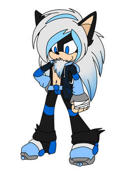 New Character! Aiden The Hedgehog!