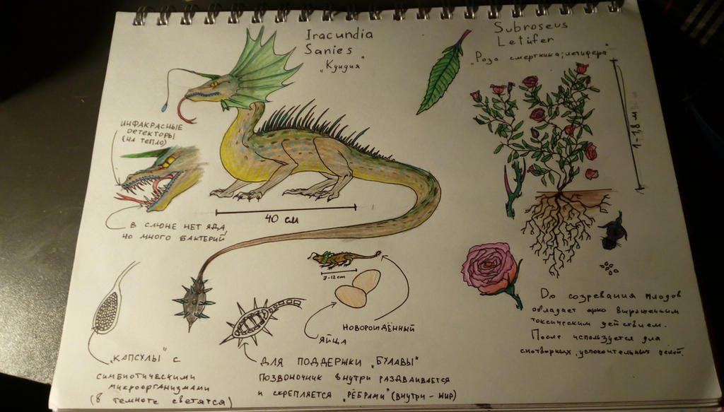 Lizard Witho Roses lizard and deadly rose by Bezly on DeviantArt