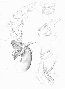 Dragon Practice Sketches 01