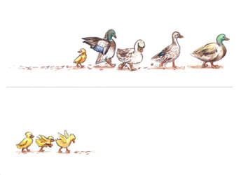 Line of ducks (front/back split)