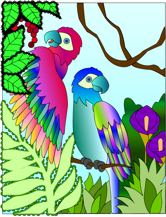 Tropical Birds