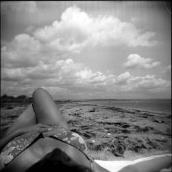 Holga 105