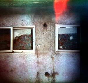 Holga 131