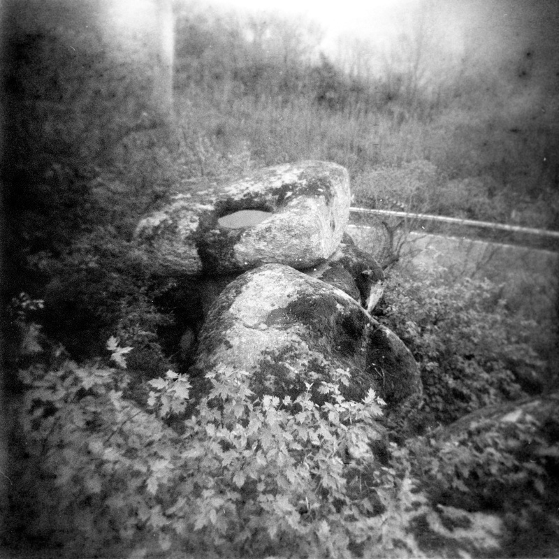 Holga_244_NP22