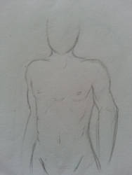 Male Anatomy Practice : Muscular Build