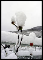 Snow hat