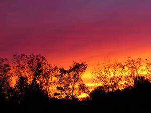 Rainbow Sunset