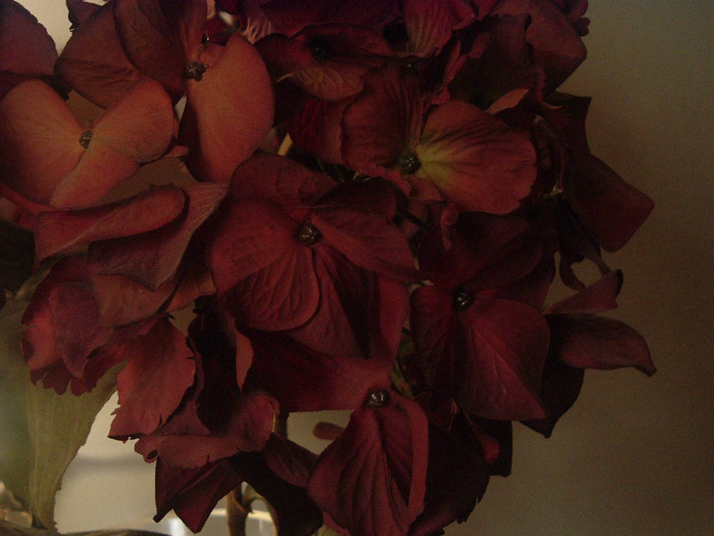 Fake Red Flowers by Lirael182 on DeviantArt