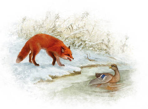 Duck and Fox