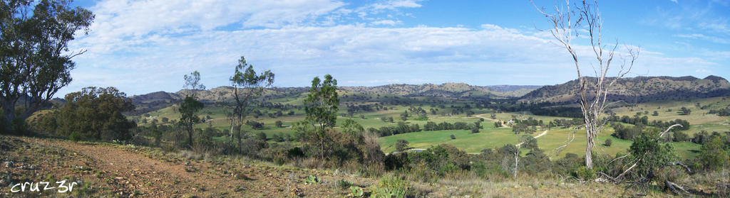 Mudgee Landscape Pano