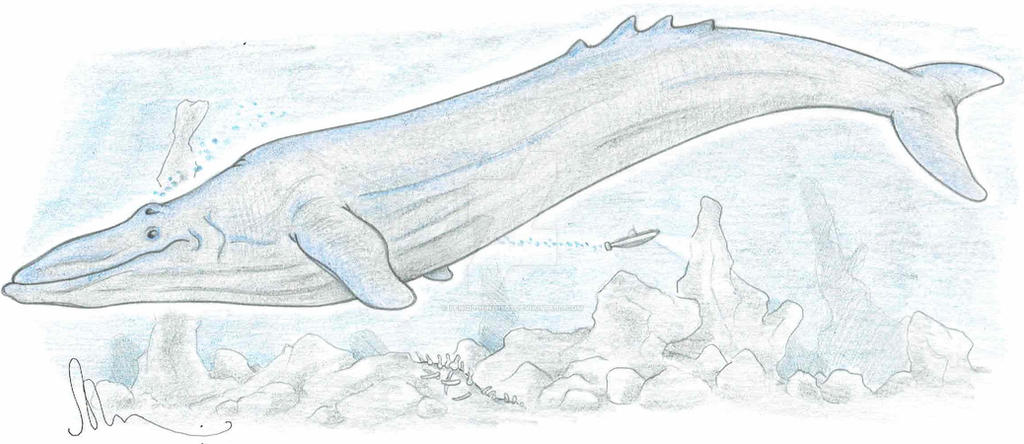 Bloop Deviantart Cryptid files- the Bloop by pencil-king1503 on DeviantArt