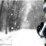 Winter Manipulation