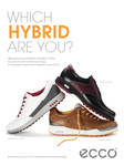 ECCO HYBRID Shoe Advertisement