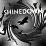 Shinedown Design